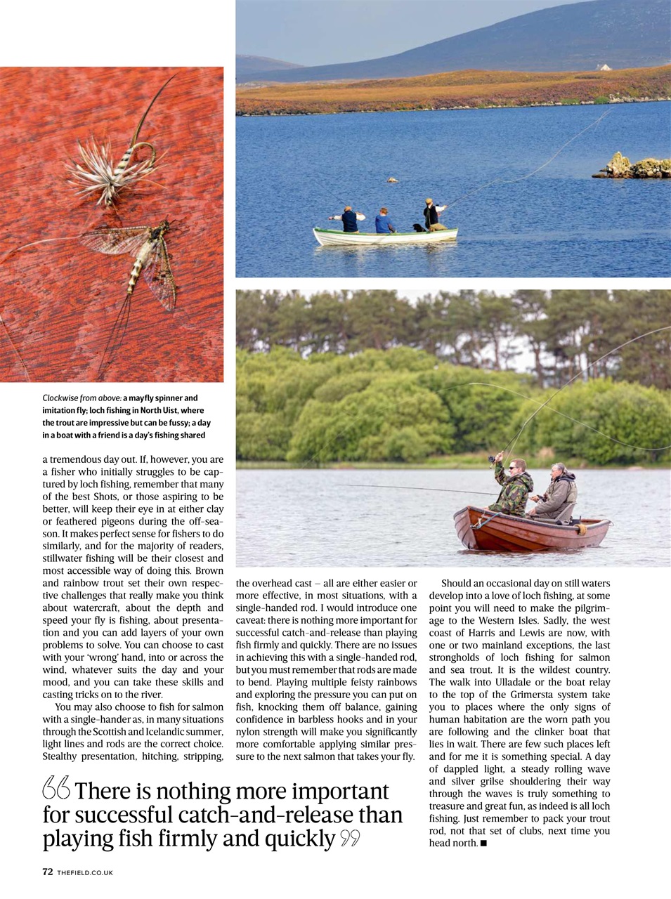 The Field Preview Pages