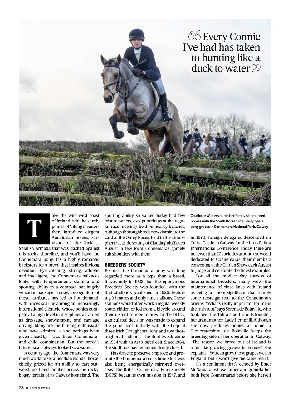 The Field Preview Pages