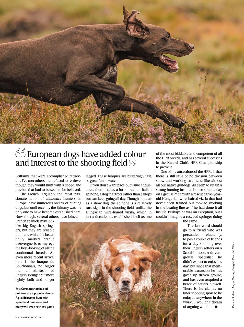 The Field Preview Pages