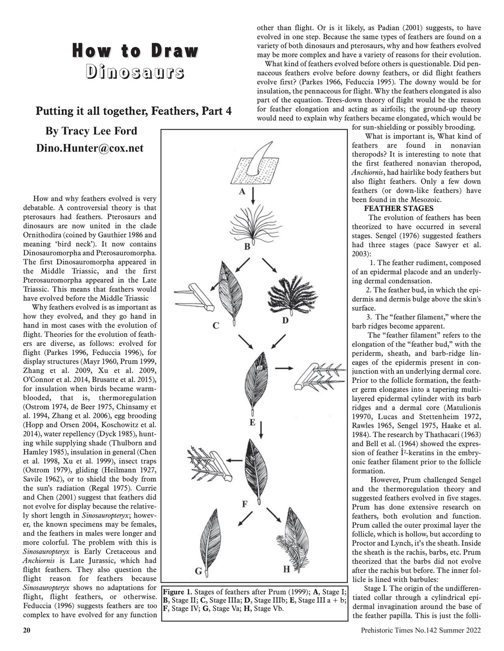 Prehistoric Times Preview Pages