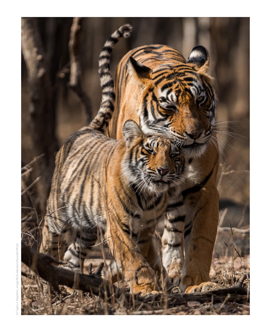 Holidays With Kids Preview Pages