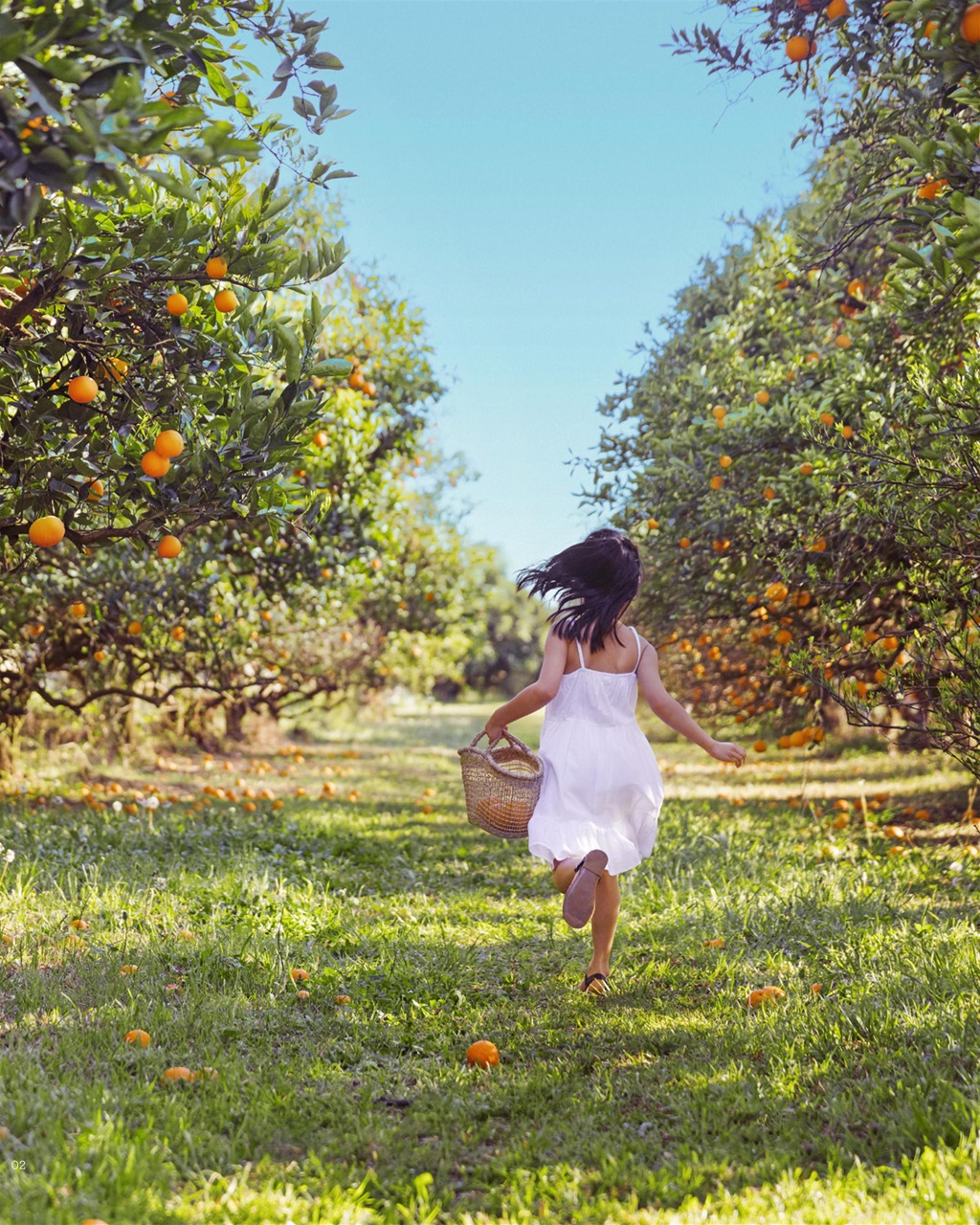 Holidays With Kids Preview Pages