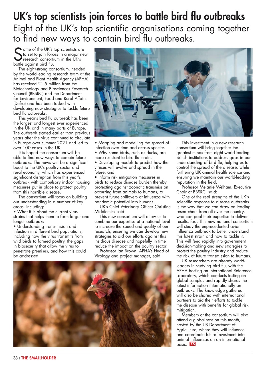 The Smallholder Preview Pages