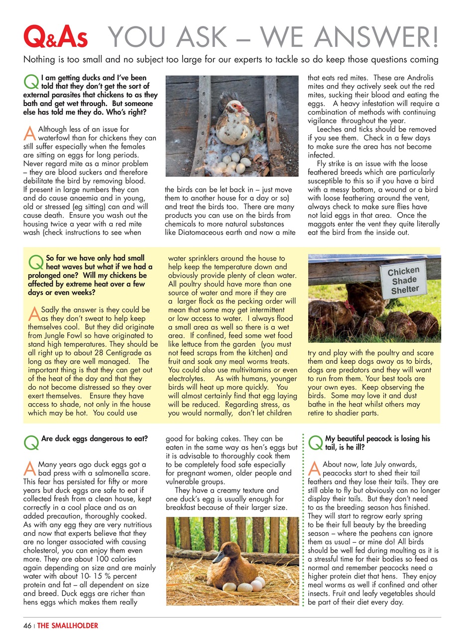 The Smallholder Preview Pages