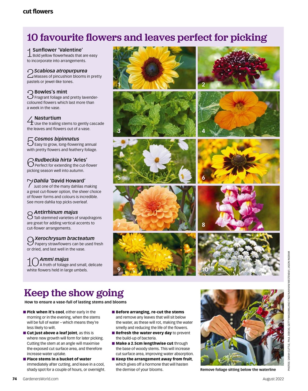 BBC Gardeners’ World Magazine Preview Pages
