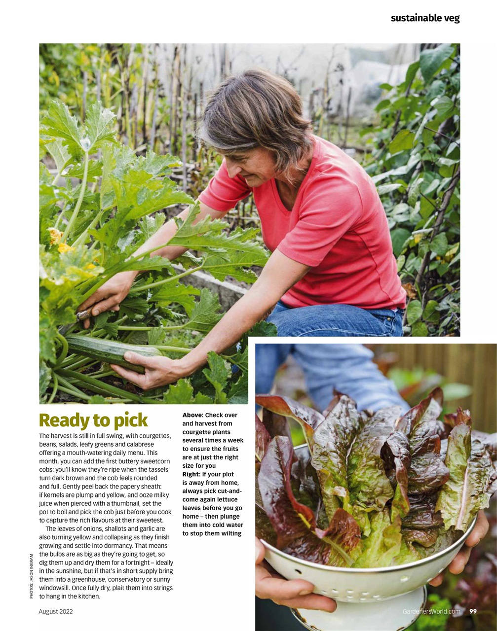 BBC Gardeners’ World Magazine Preview Pages