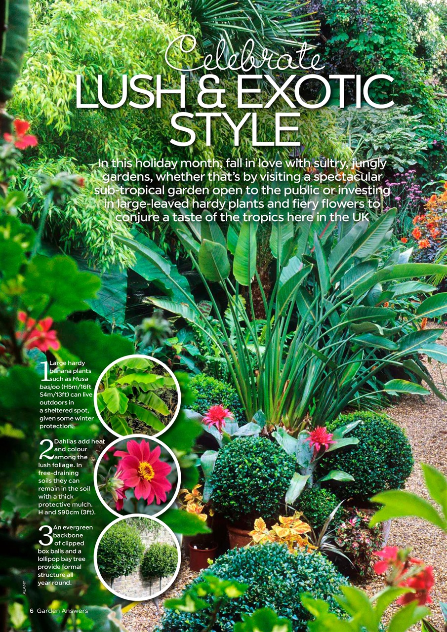 Garden Answers Preview Pages