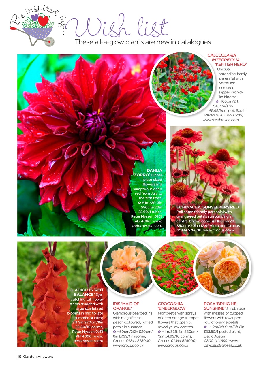 Garden Answers Preview Pages