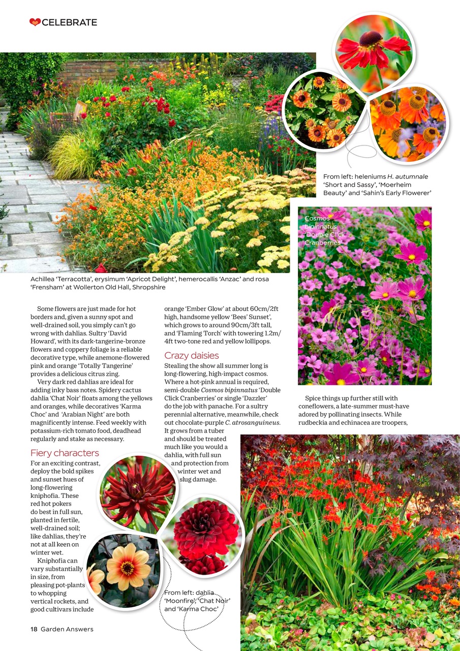 Garden Answers Preview Pages