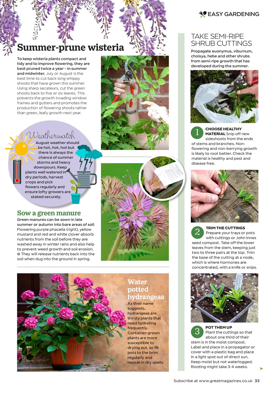 Garden Answers Preview Pages