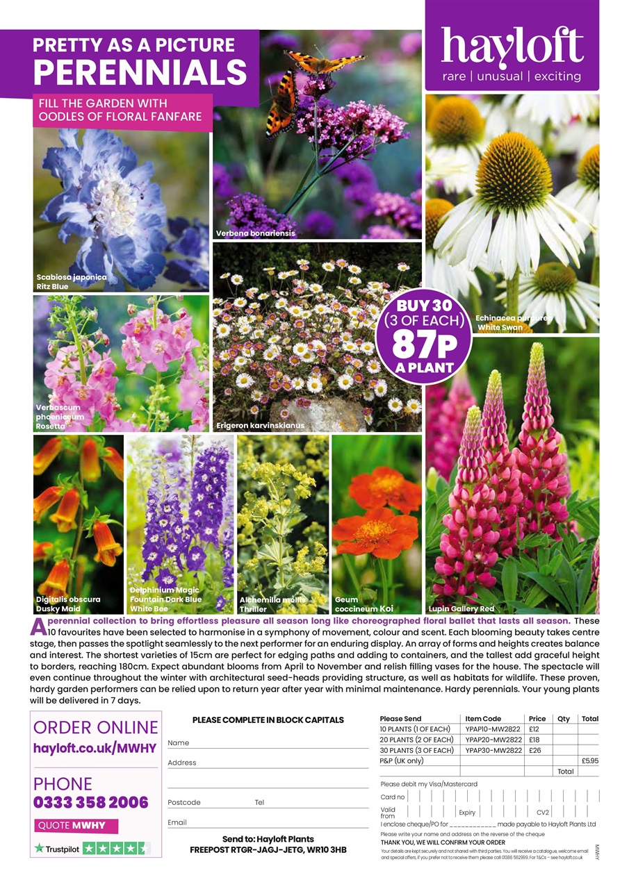 My Weekly Preview Pages