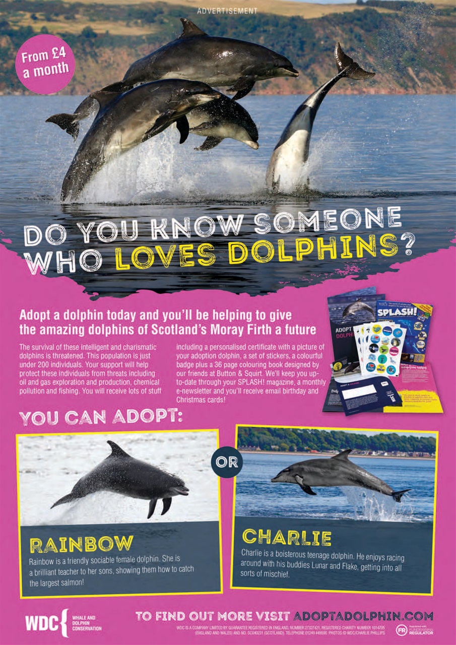 Animal Planet Kids Preview Pages