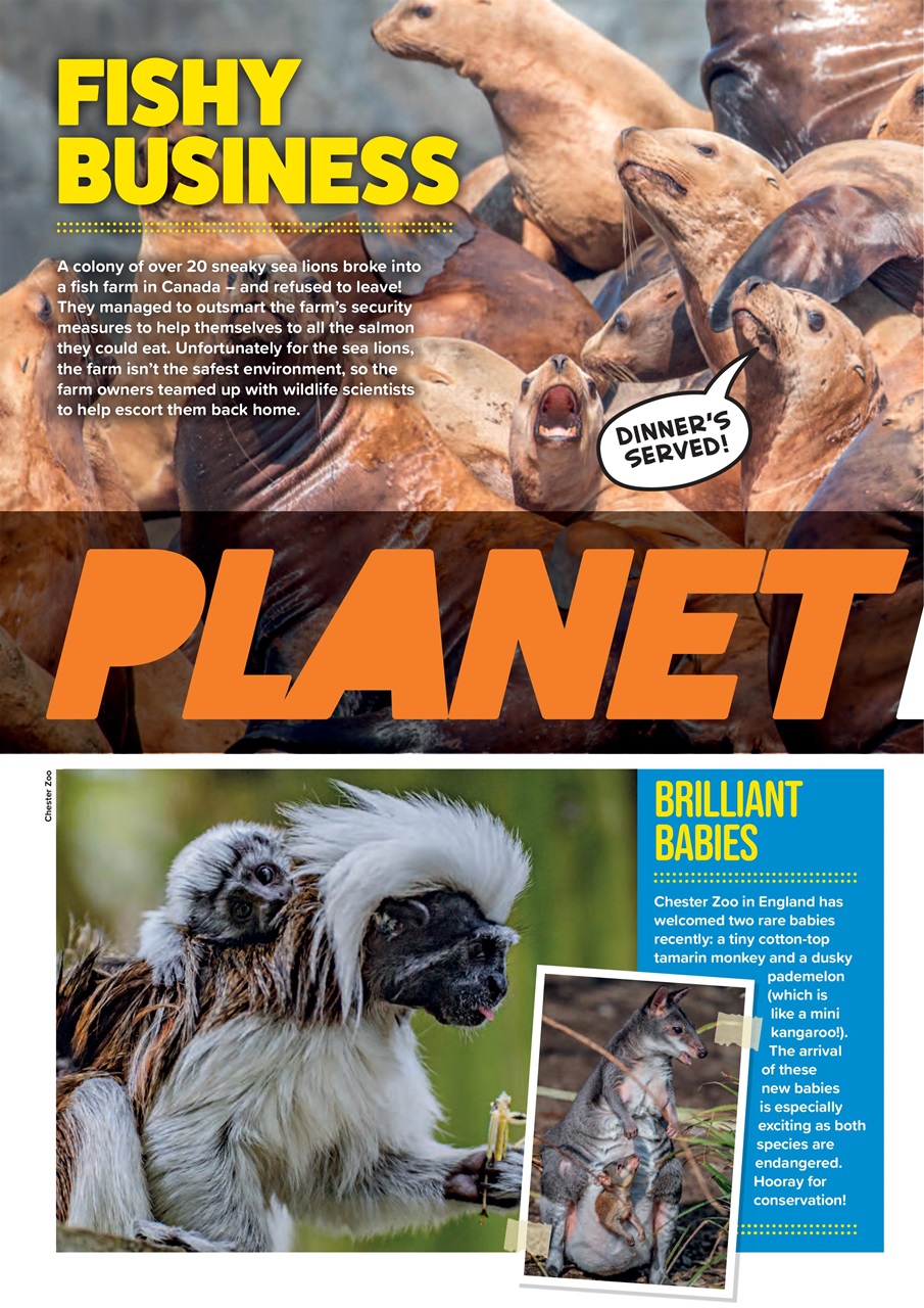 Animal Planet Kids Preview Pages
