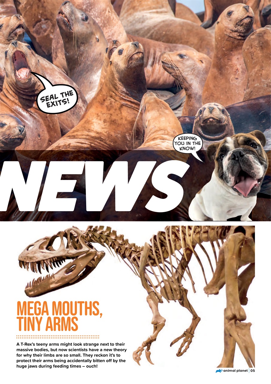 Animal Planet Kids Preview Pages