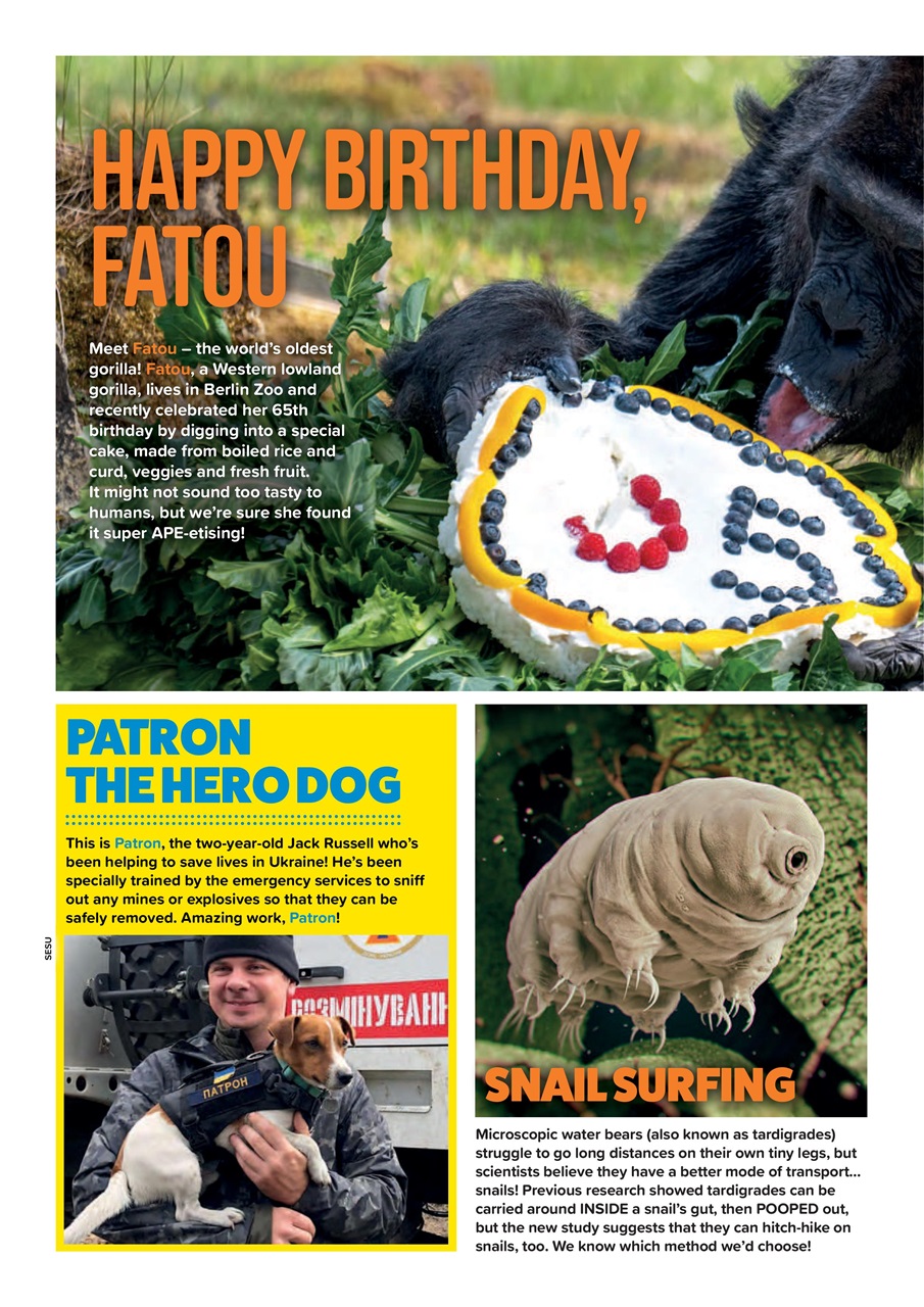 Animal Planet Kids Preview Pages