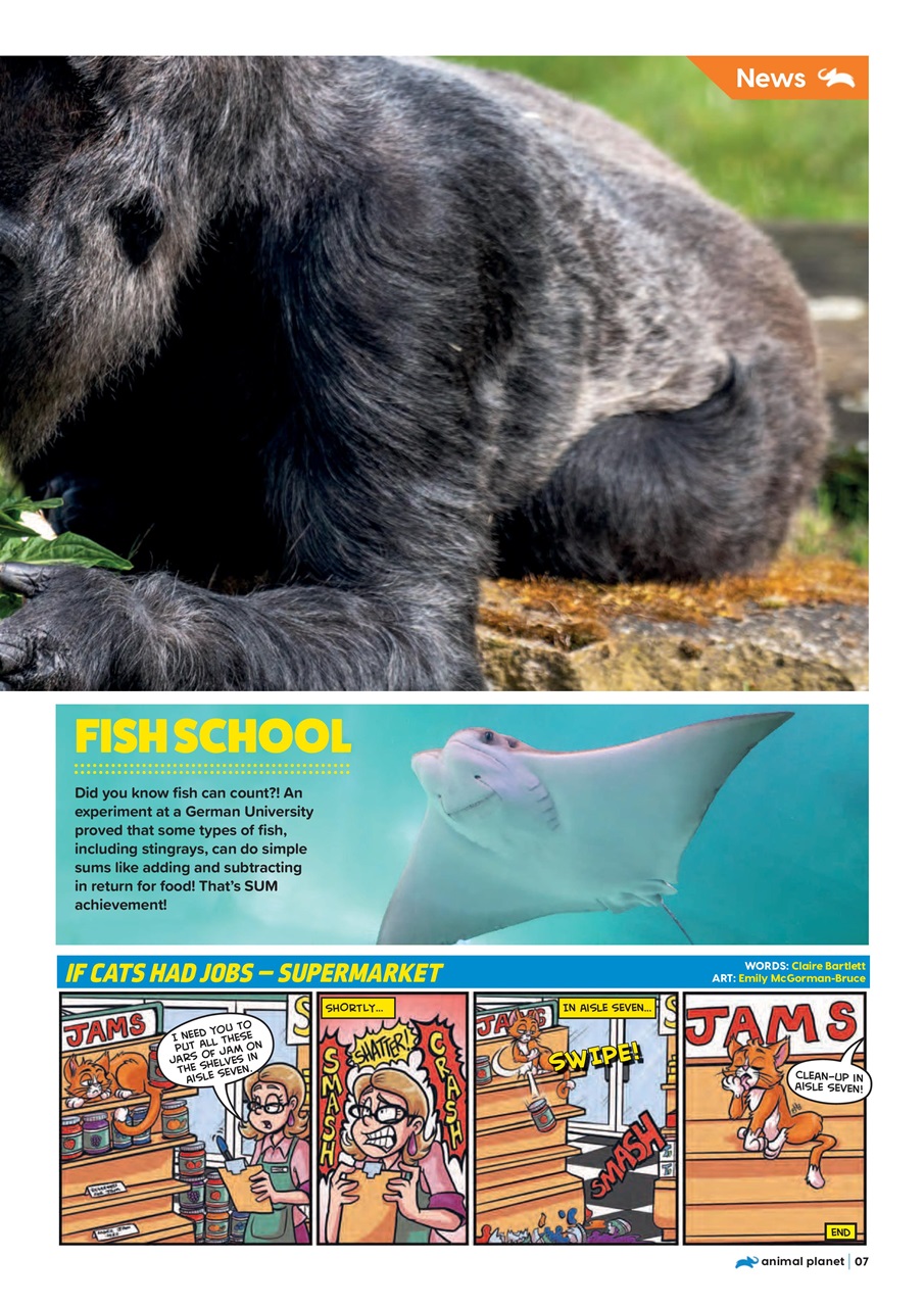 Animal Planet Kids Preview Pages
