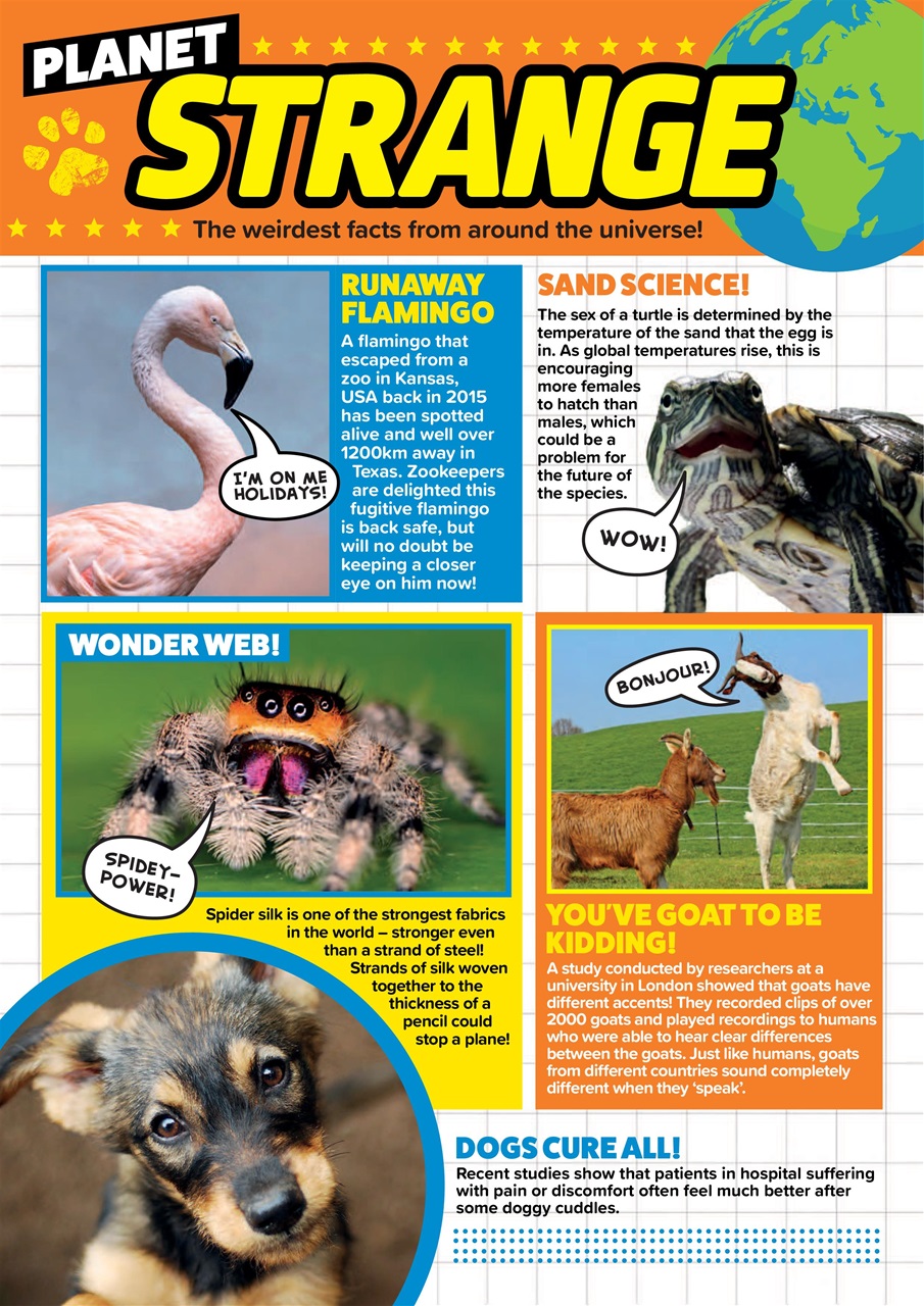 Animal Planet Kids Preview Pages
