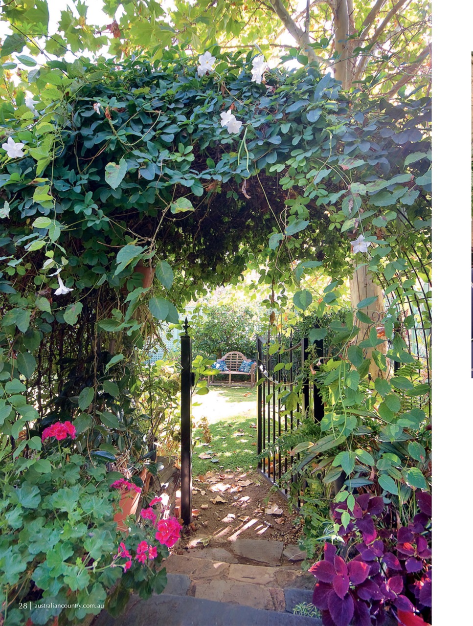 Australian Country Preview Pages