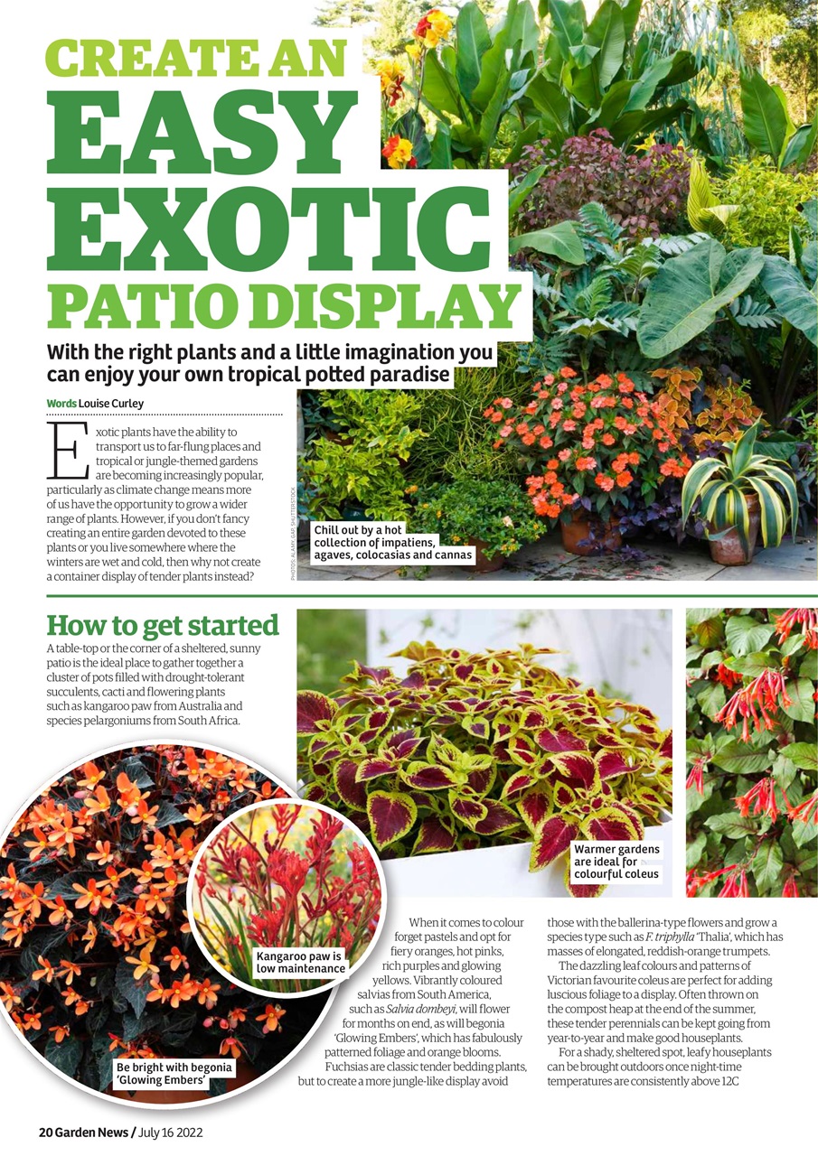 Garden News Preview Pages