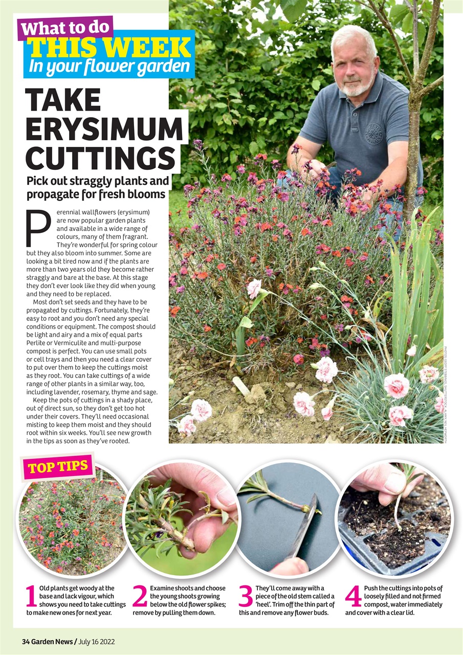 Garden News Preview Pages