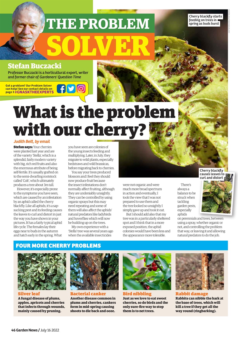 Garden News Preview Pages