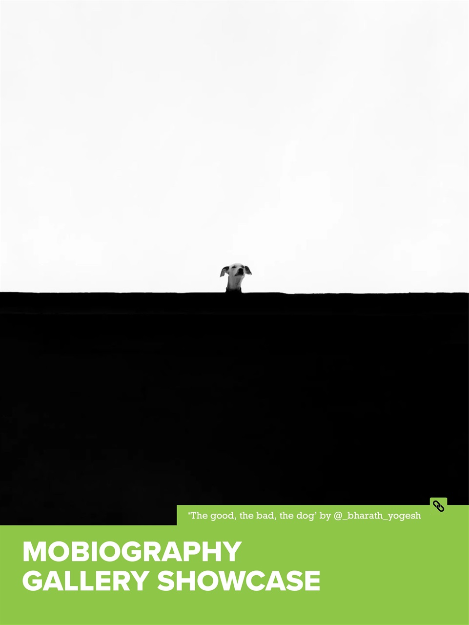 Mobiography Preview Pages