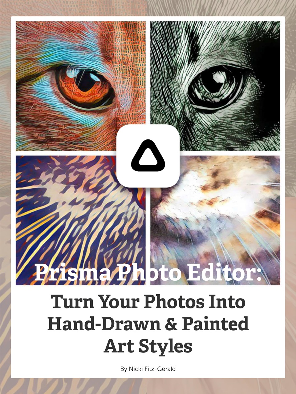 Mobiography Preview Pages