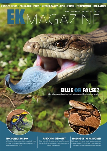 Exotics Keeper issue 