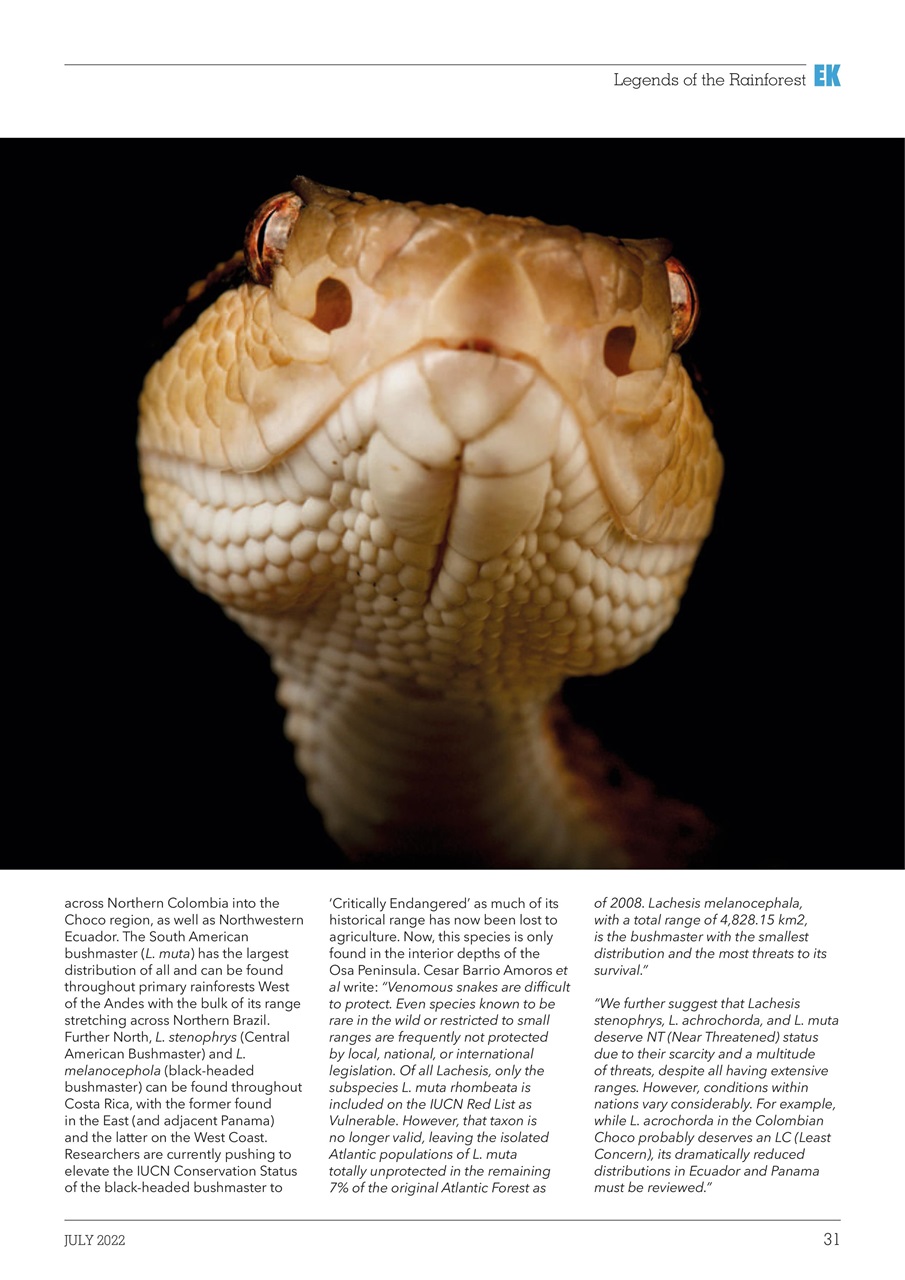 Exotics Keeper Preview Pages