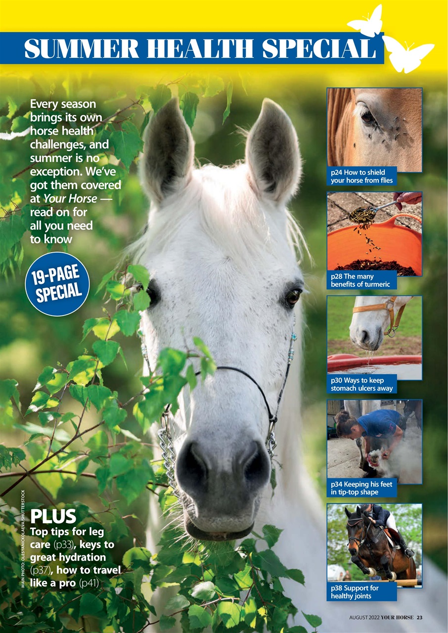 Your Horse Preview Pages