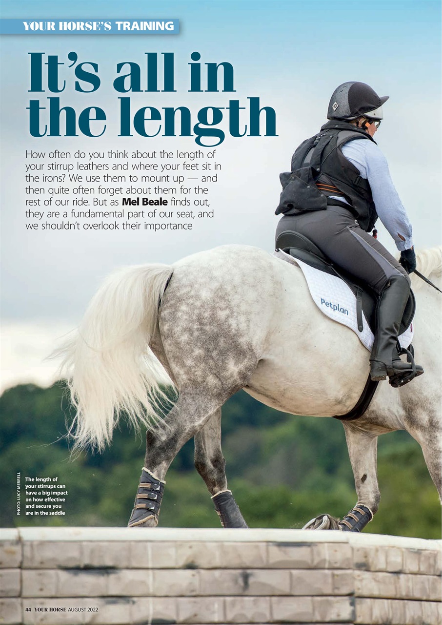 Your Horse Preview Pages