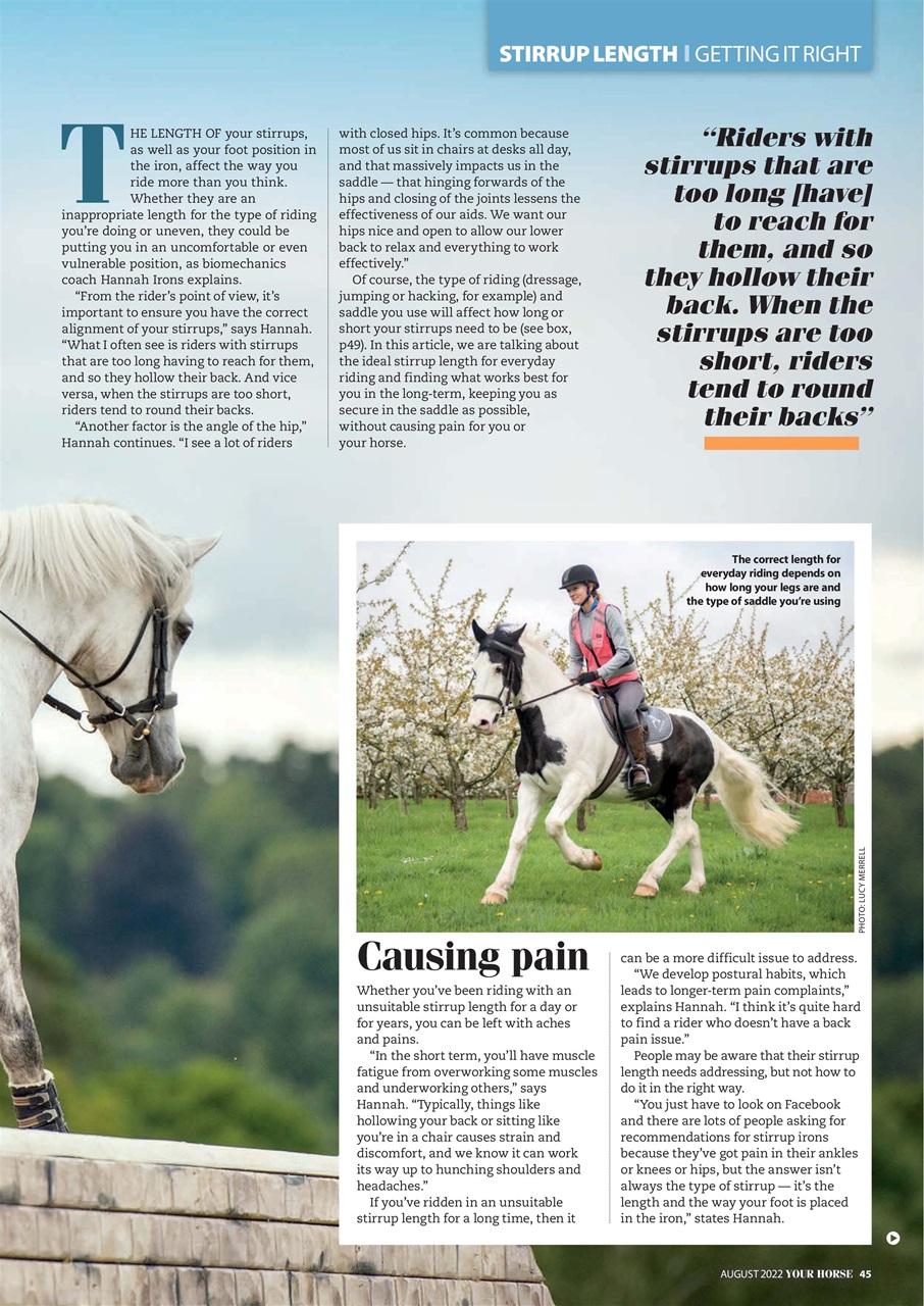 Your Horse Preview Pages