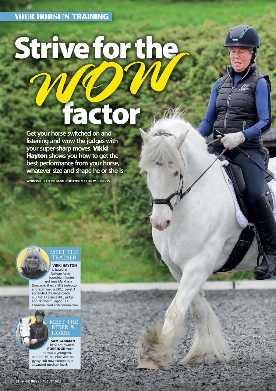 Your Horse Preview Pages