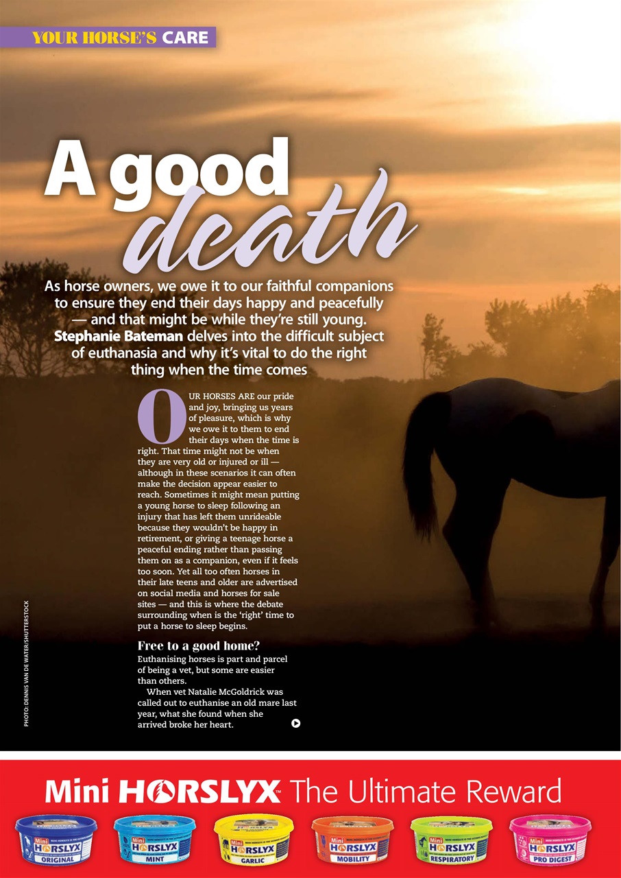 Your Horse Preview Pages