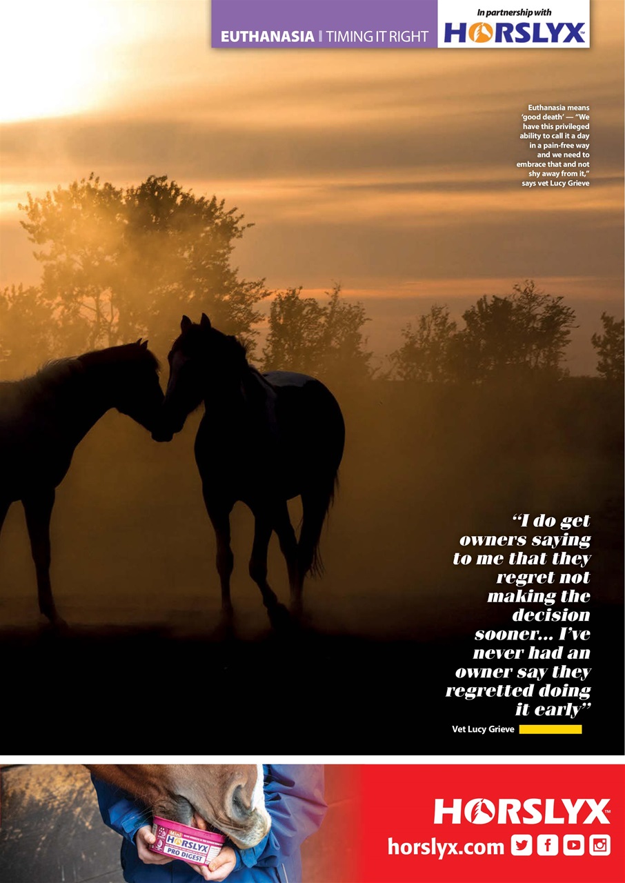 Your Horse Preview Pages