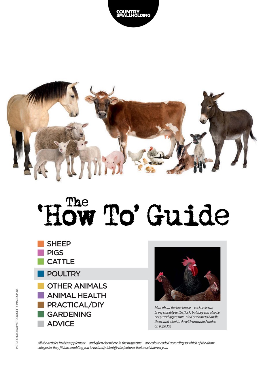 The Country Smallholder Preview Pages