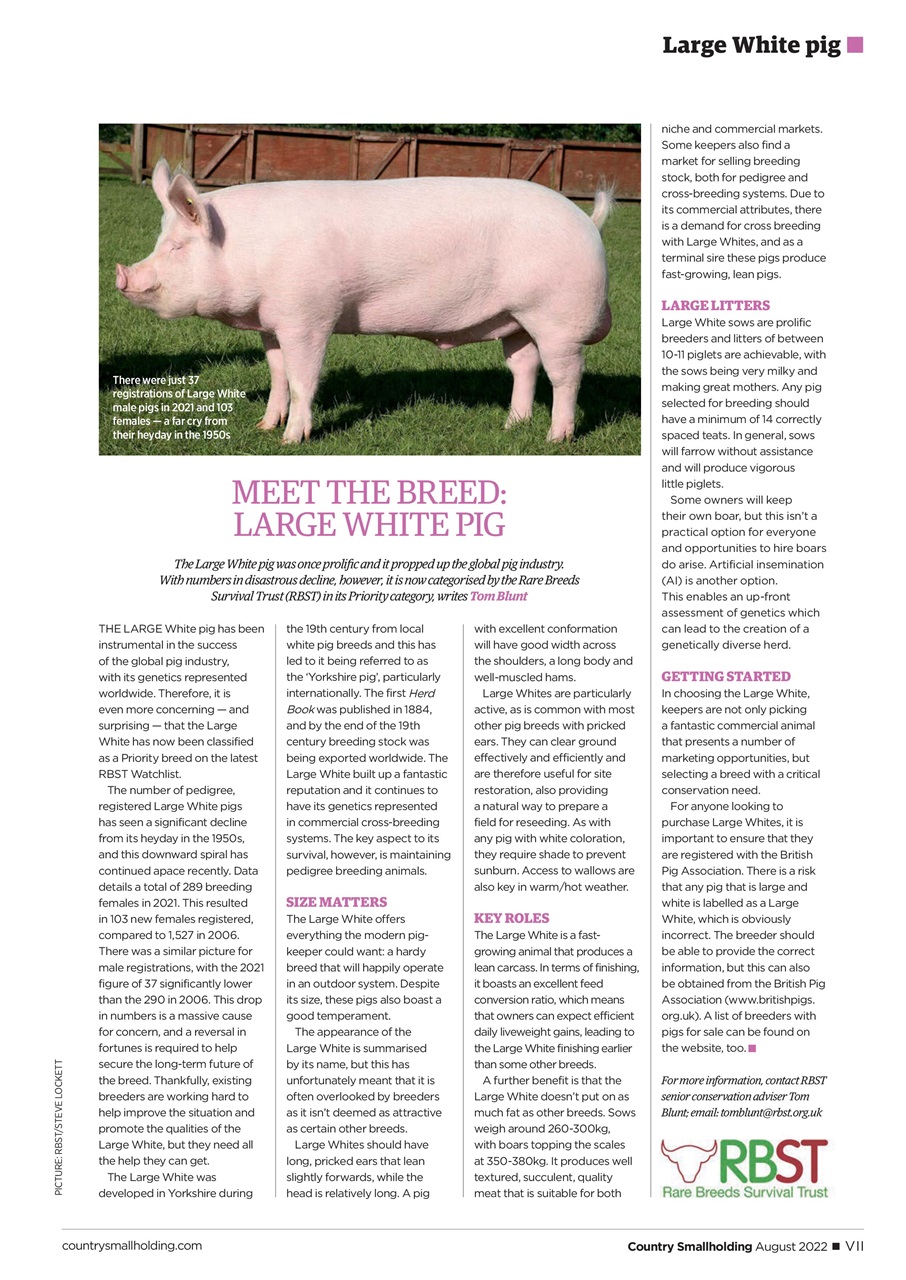 The Country Smallholder Preview Pages