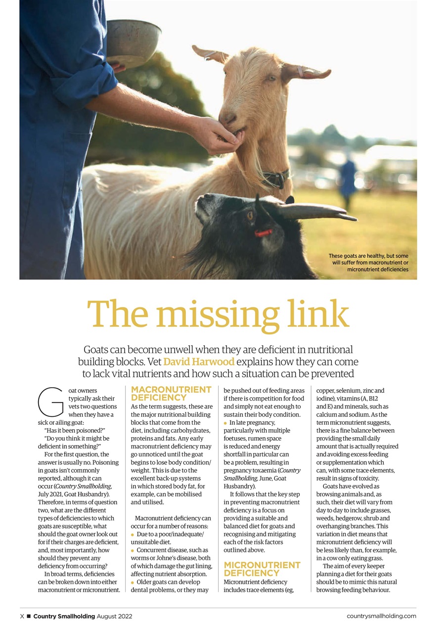 The Country Smallholder Preview Pages