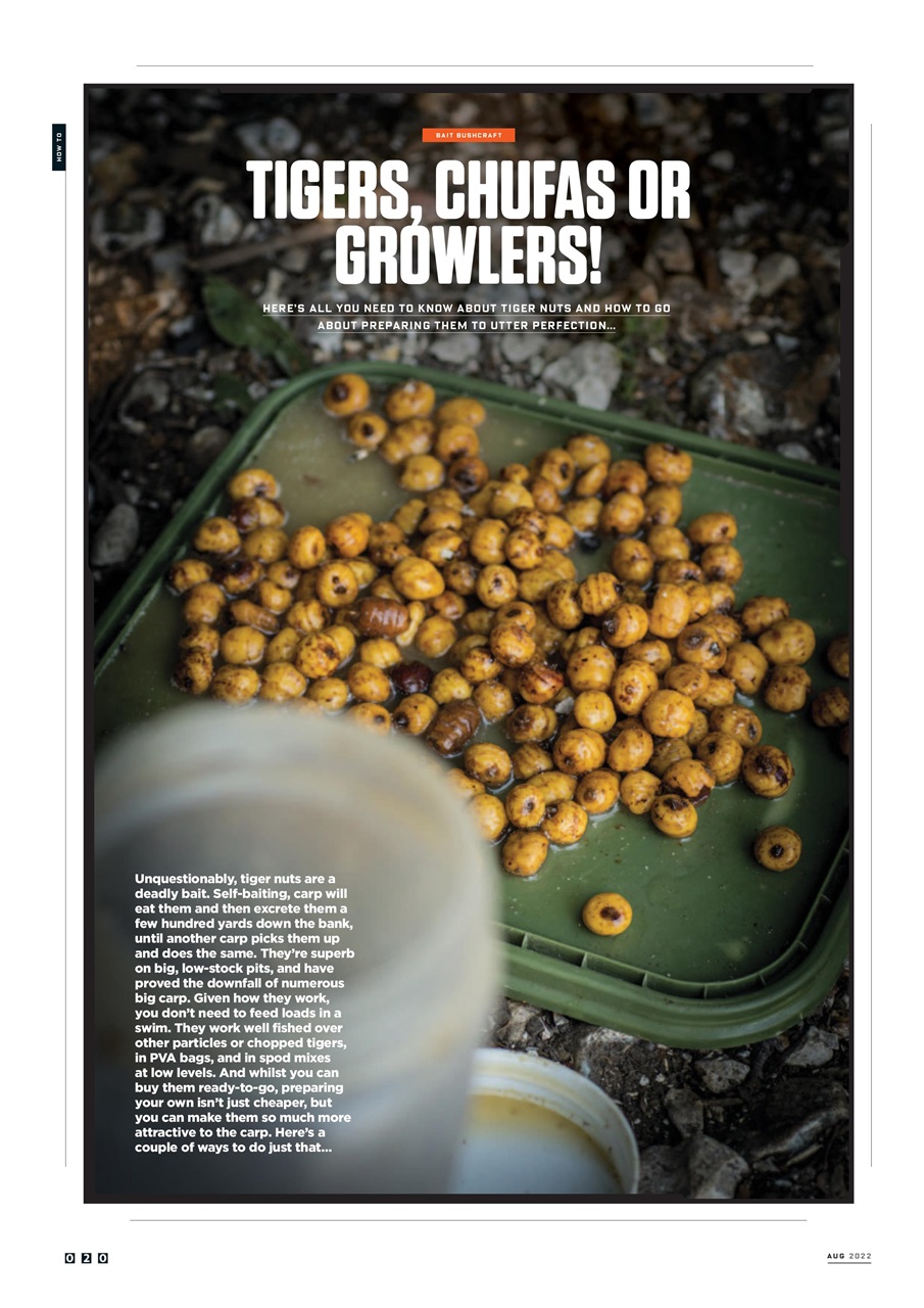 CARPology Magazine Preview Pages