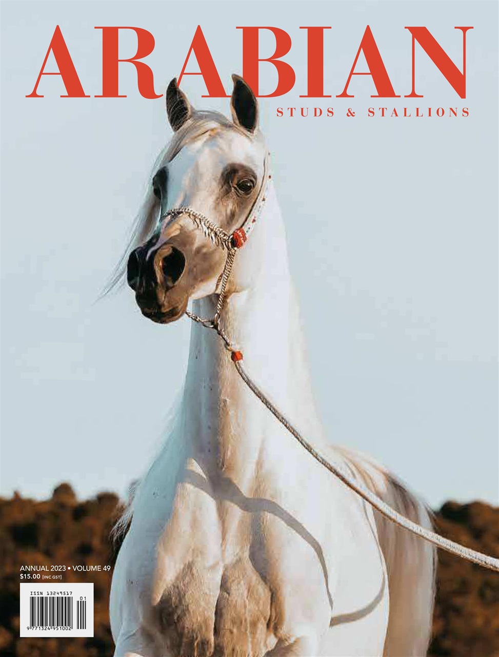 Arabian Studs & Stallions Preview Pages