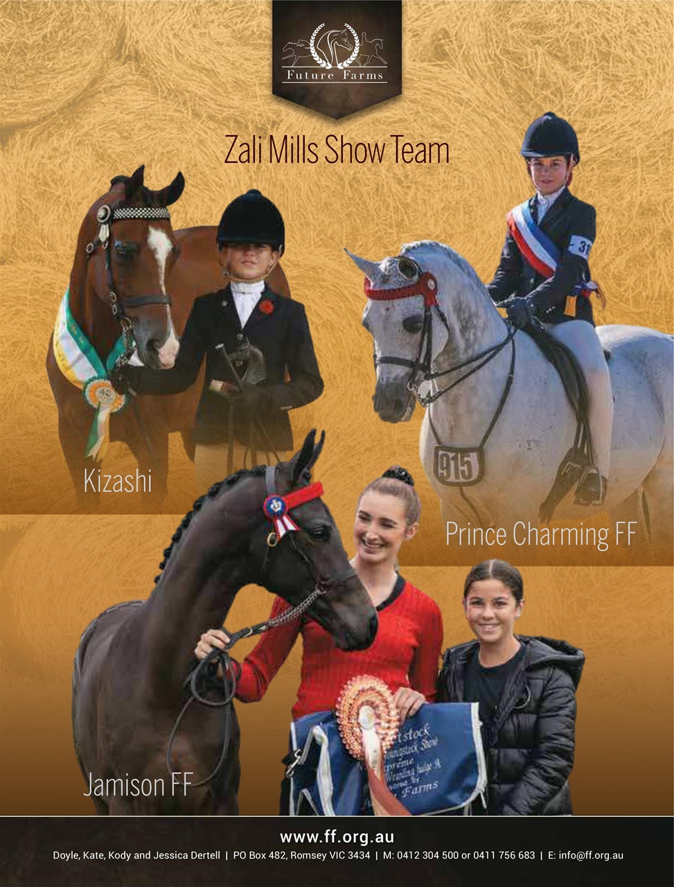 Arabian Studs & Stallions Preview Pages