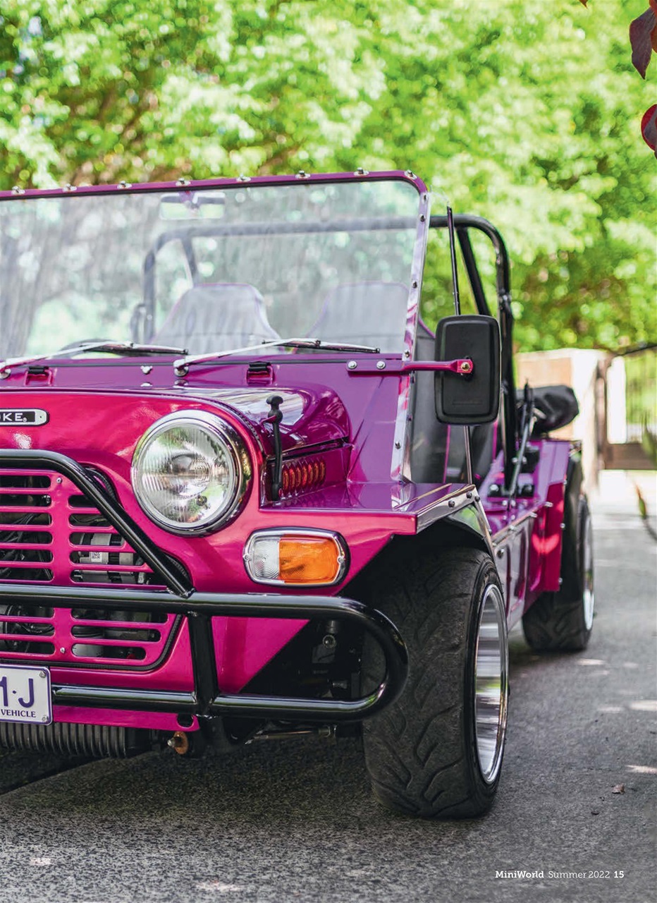 Mini World Preview Pages