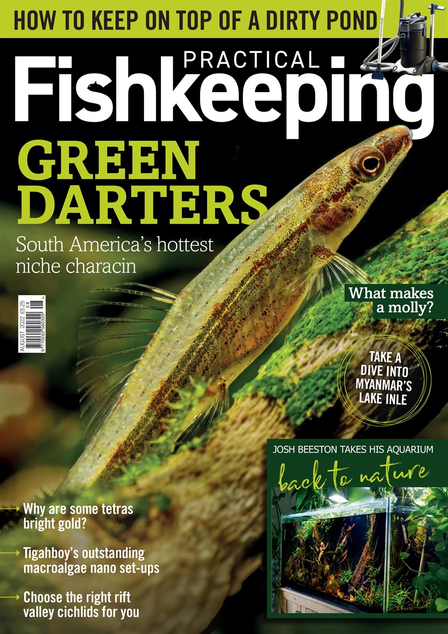 Practical Fishkeeping Preview Pages