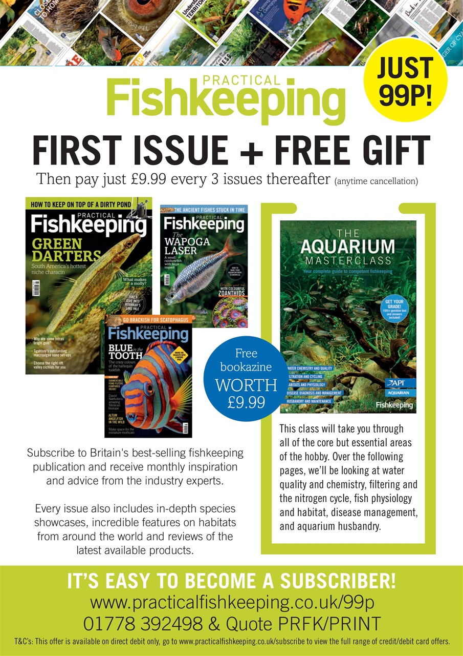 Practical Fishkeeping Preview Pages