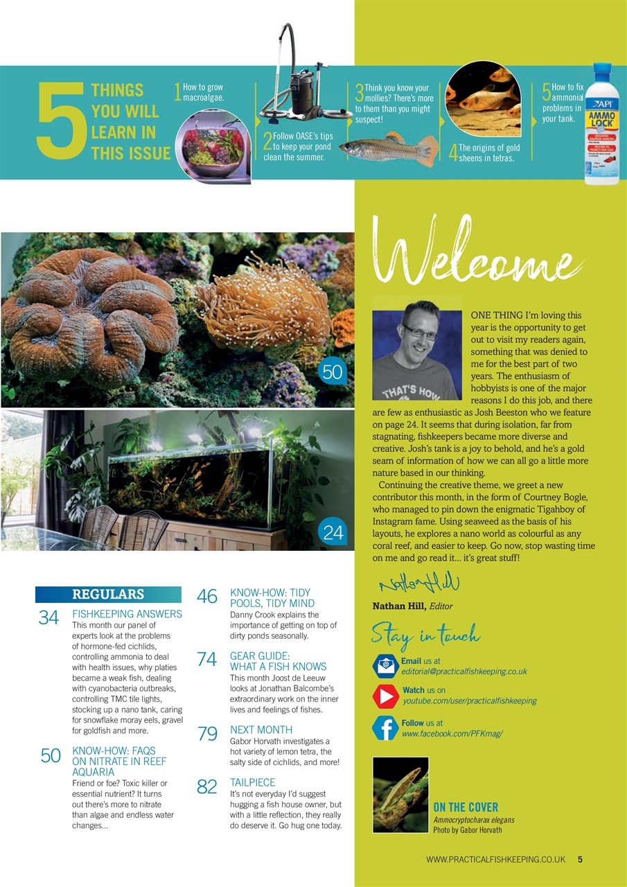 Practical Fishkeeping Preview Pages