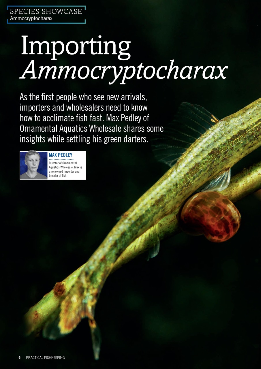 Practical Fishkeeping Preview Pages