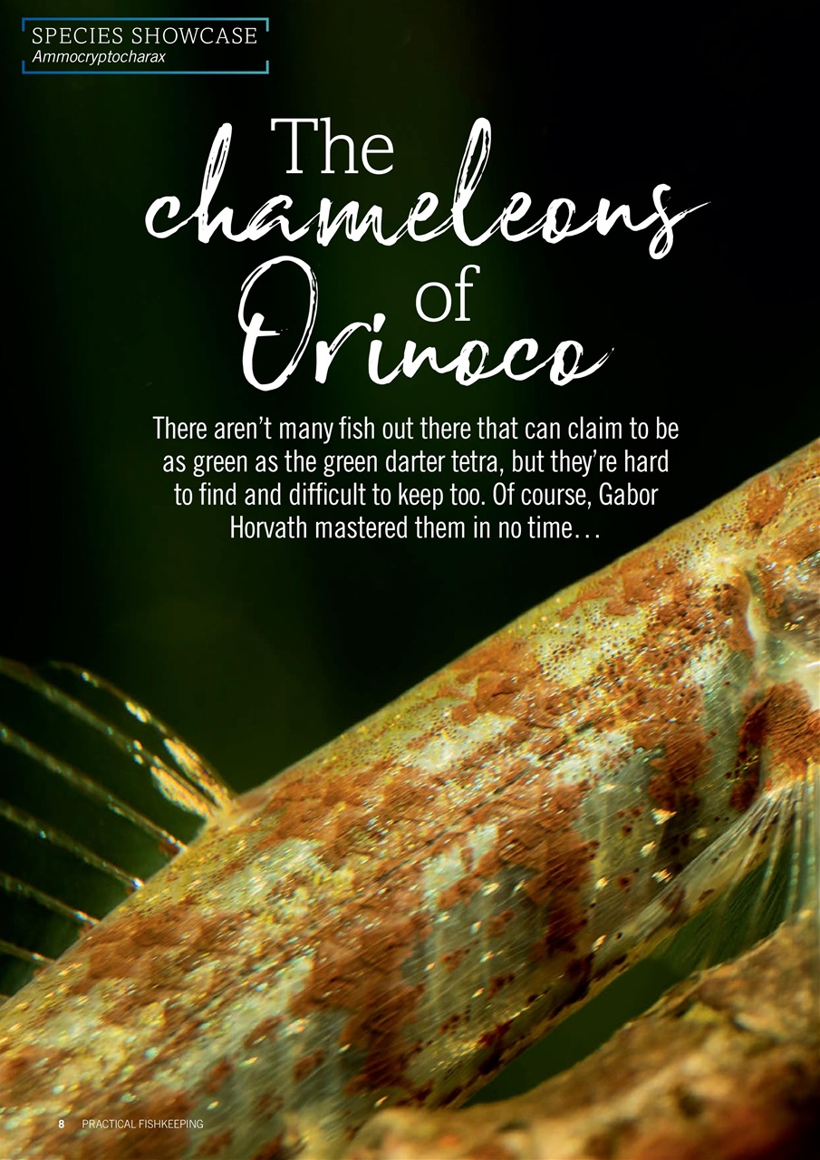 Practical Fishkeeping Preview Pages