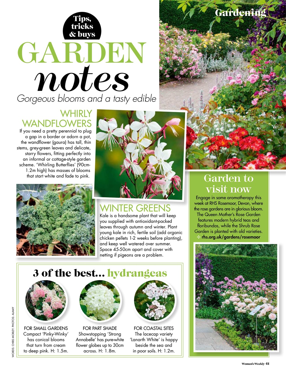 Woman's Weekly Preview Pages