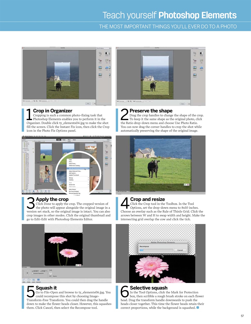 Creative Bookazine Preview Pages