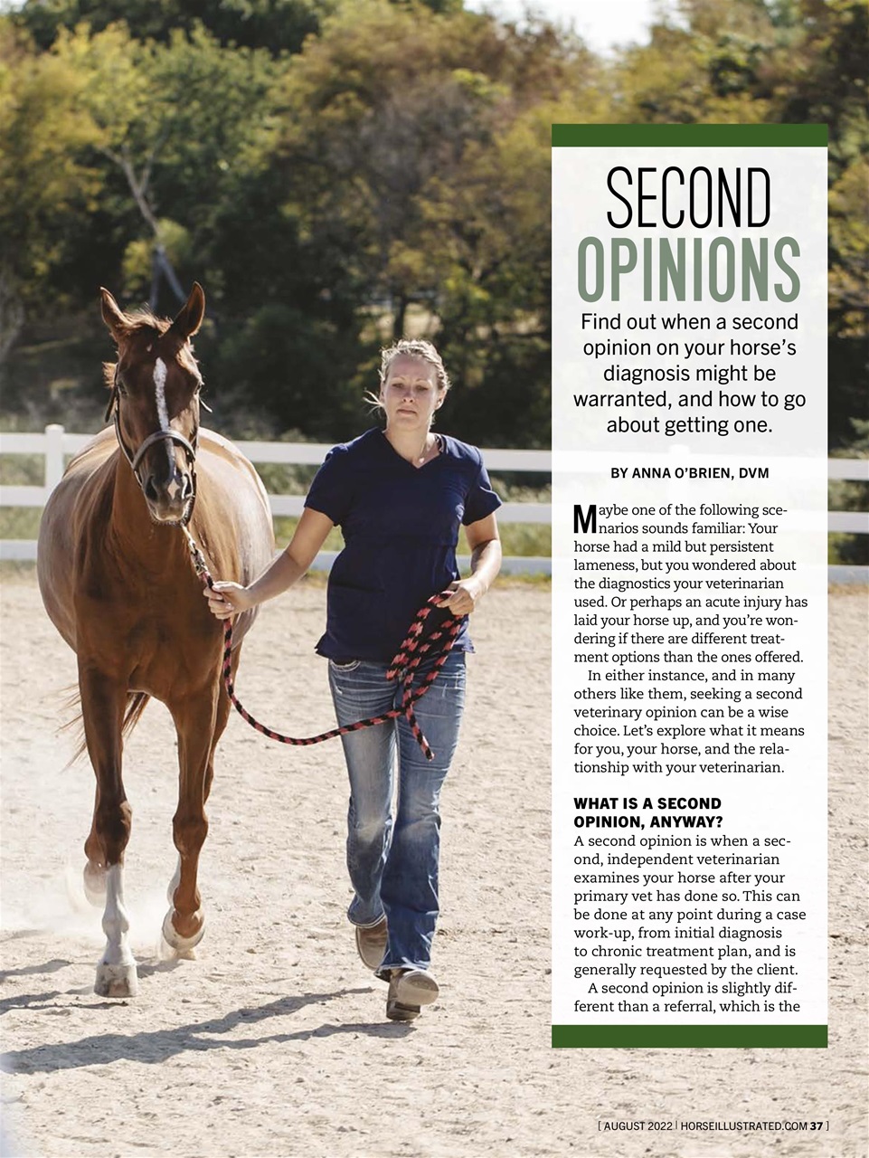 Horse Illustrated Magazine Preview Pages